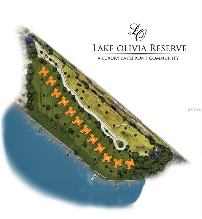 Lake Olivia Residential Subdivision in Windermere